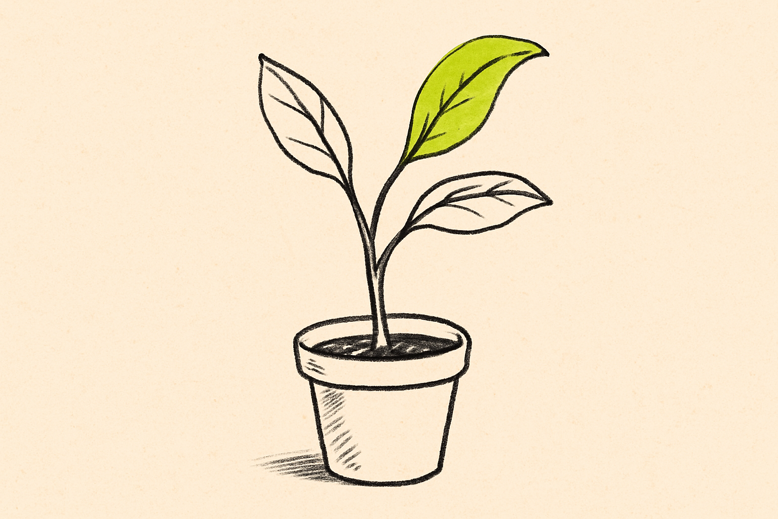 An ink potted plant with a single new leaf unfurling in soft lime.
